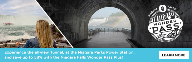 Niagara Falls in background with view from a tunnel