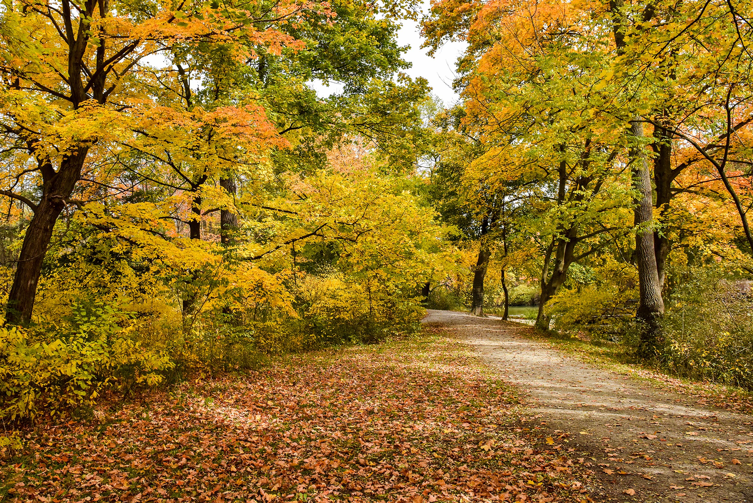 Celebrate Thanksgiving Weekend with Niagara Parks