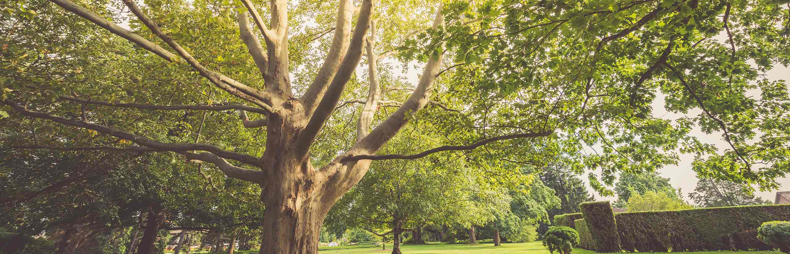 Niagara Parks Closes Remaining Outdoor Recreational Amenities