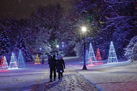 Winter Festival of Lights
