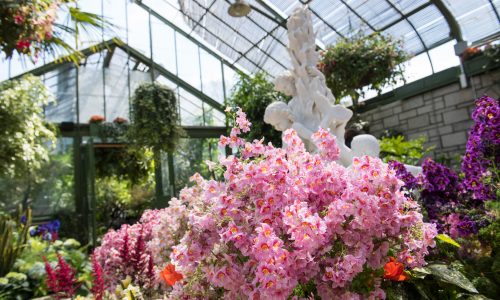 Floral Showhouse