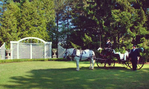 Horse & Carriage