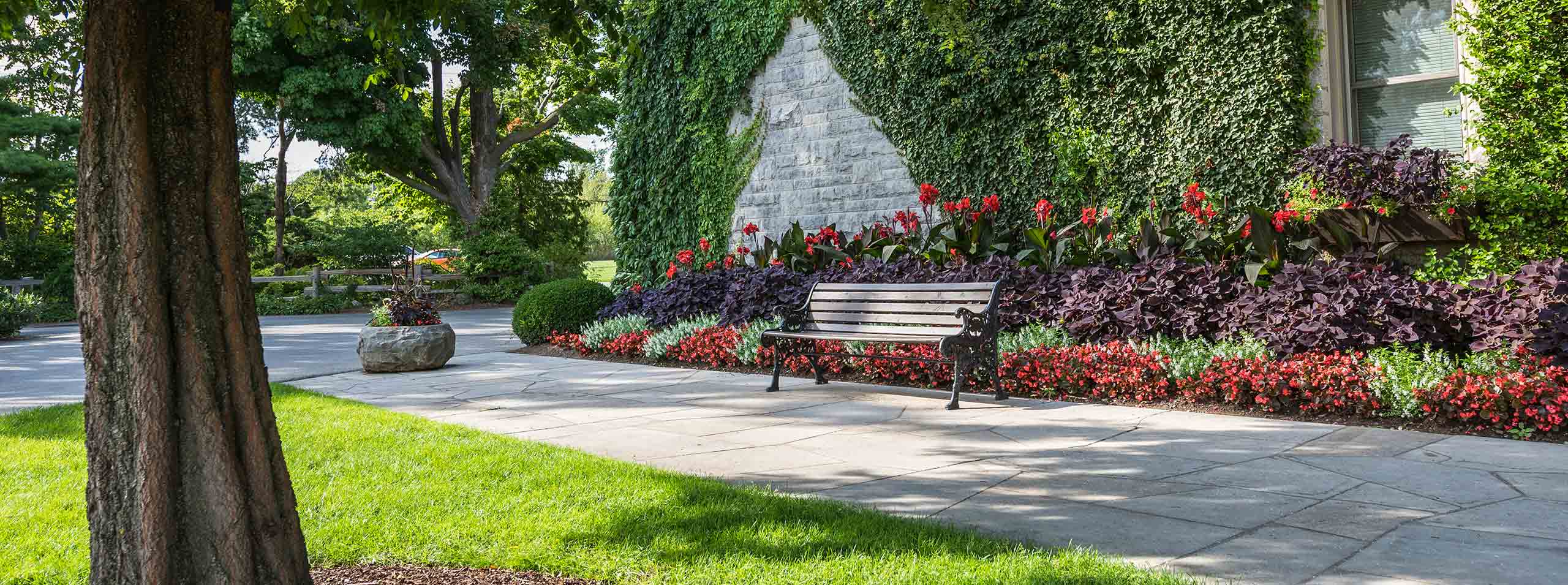 Attraction Image