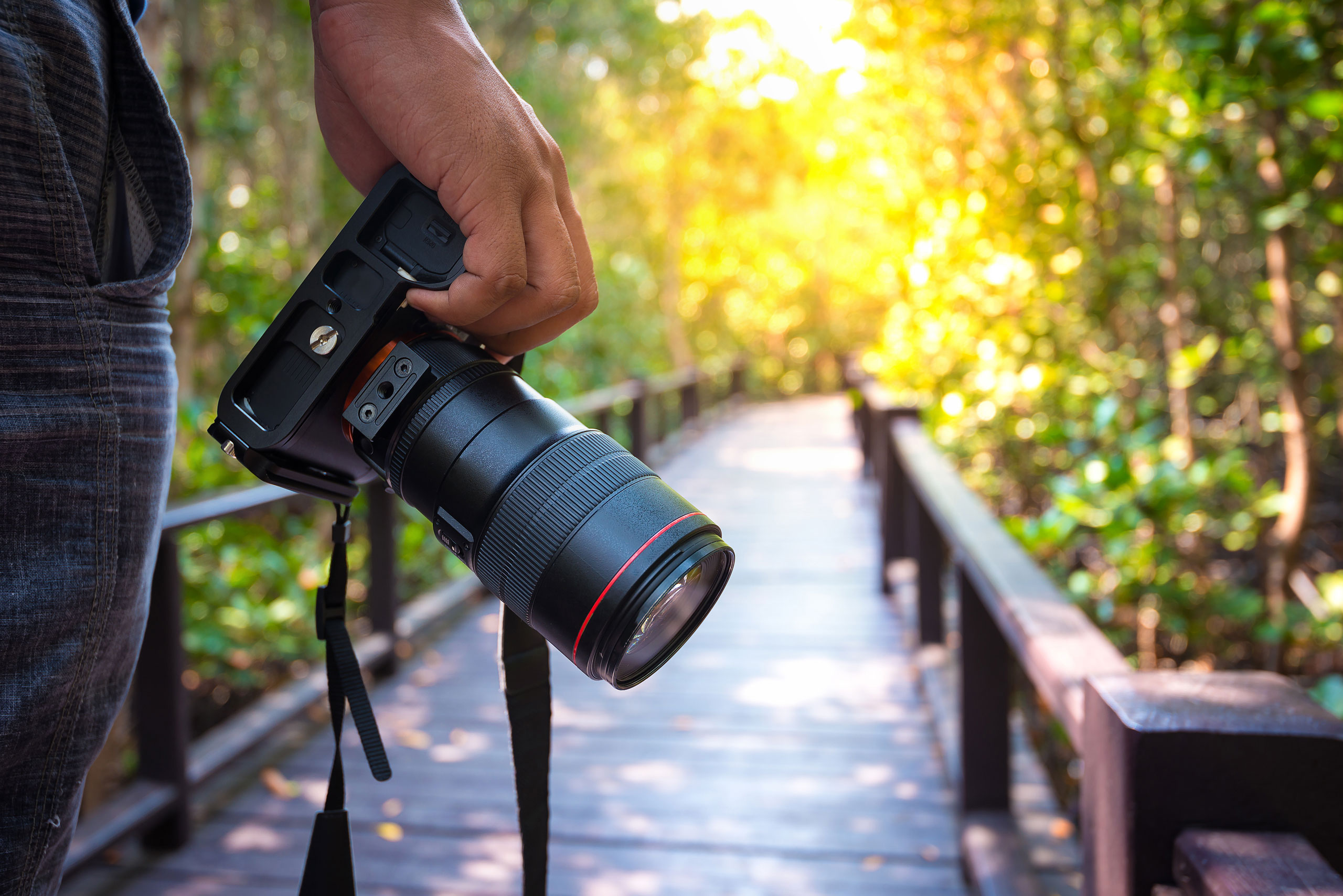 person carrying camera with forest in background