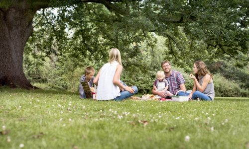 Picnicking