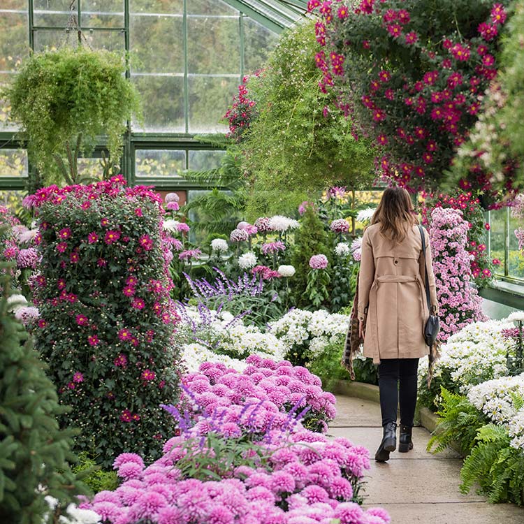 Floral Showhouse