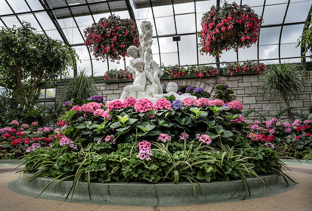 A flower bed circle with three Cupid statues at the Hydrangrea Show