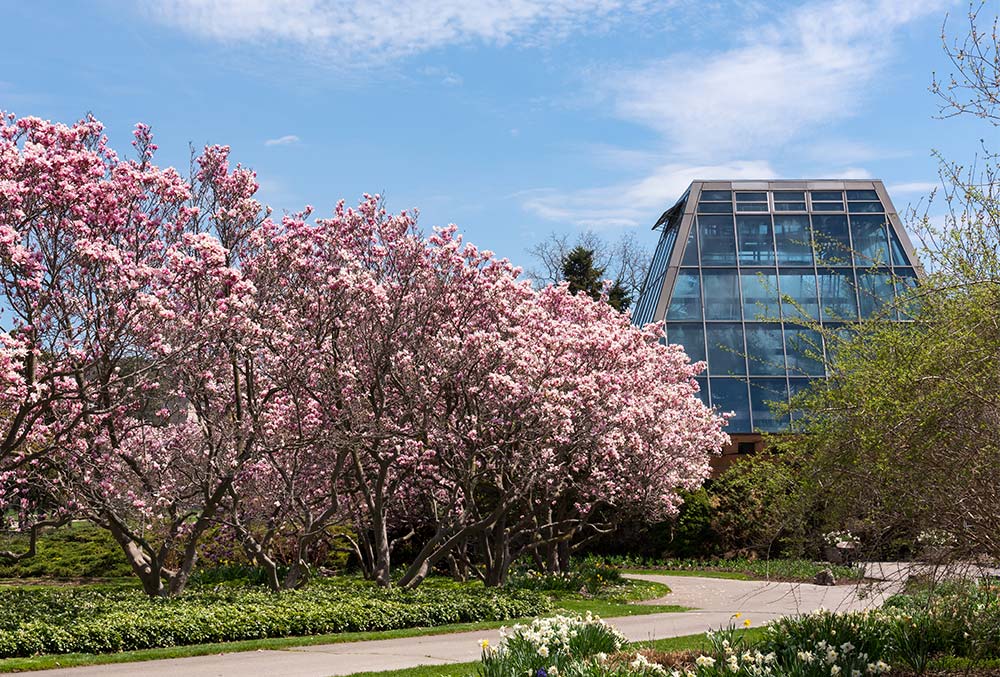 The exterior view of the Floral Showhouse with Magnolias