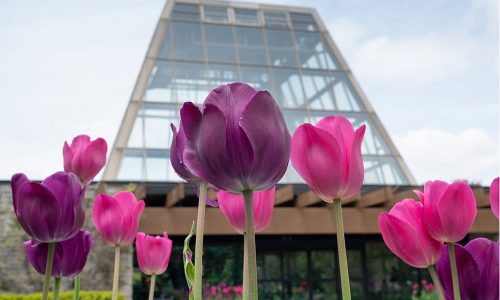Floral Showhouse