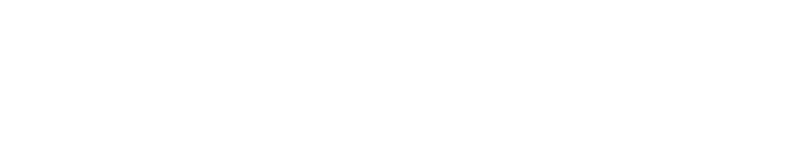 Event sponsors for Niagara Falls New Year's Eve