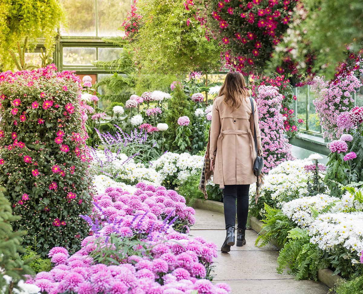 Floral Showhouse