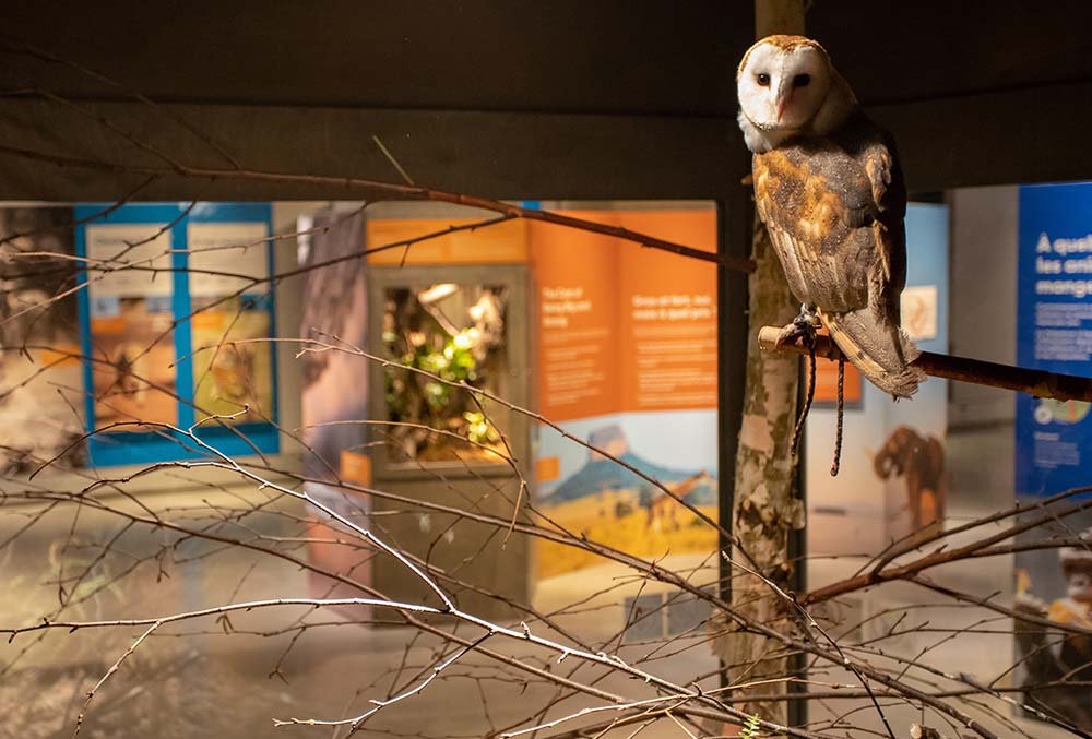 Little Ray’s Nature Centres