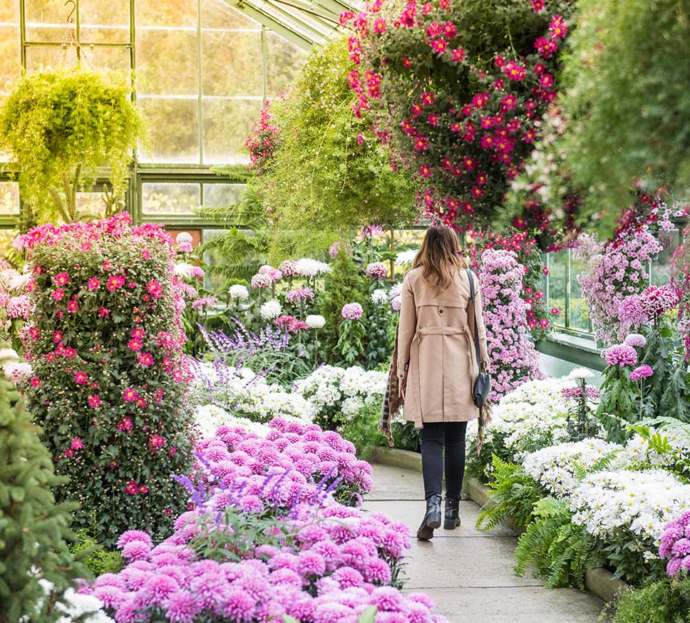 A lady walking through the Niagara Parks Floral Showhouse
