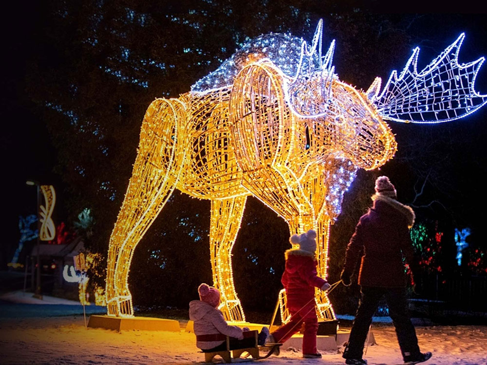 Winter Festival of Lights