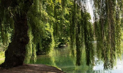 Dufferin Islands