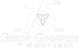 Ontario Cultural Attractions Fund Logo