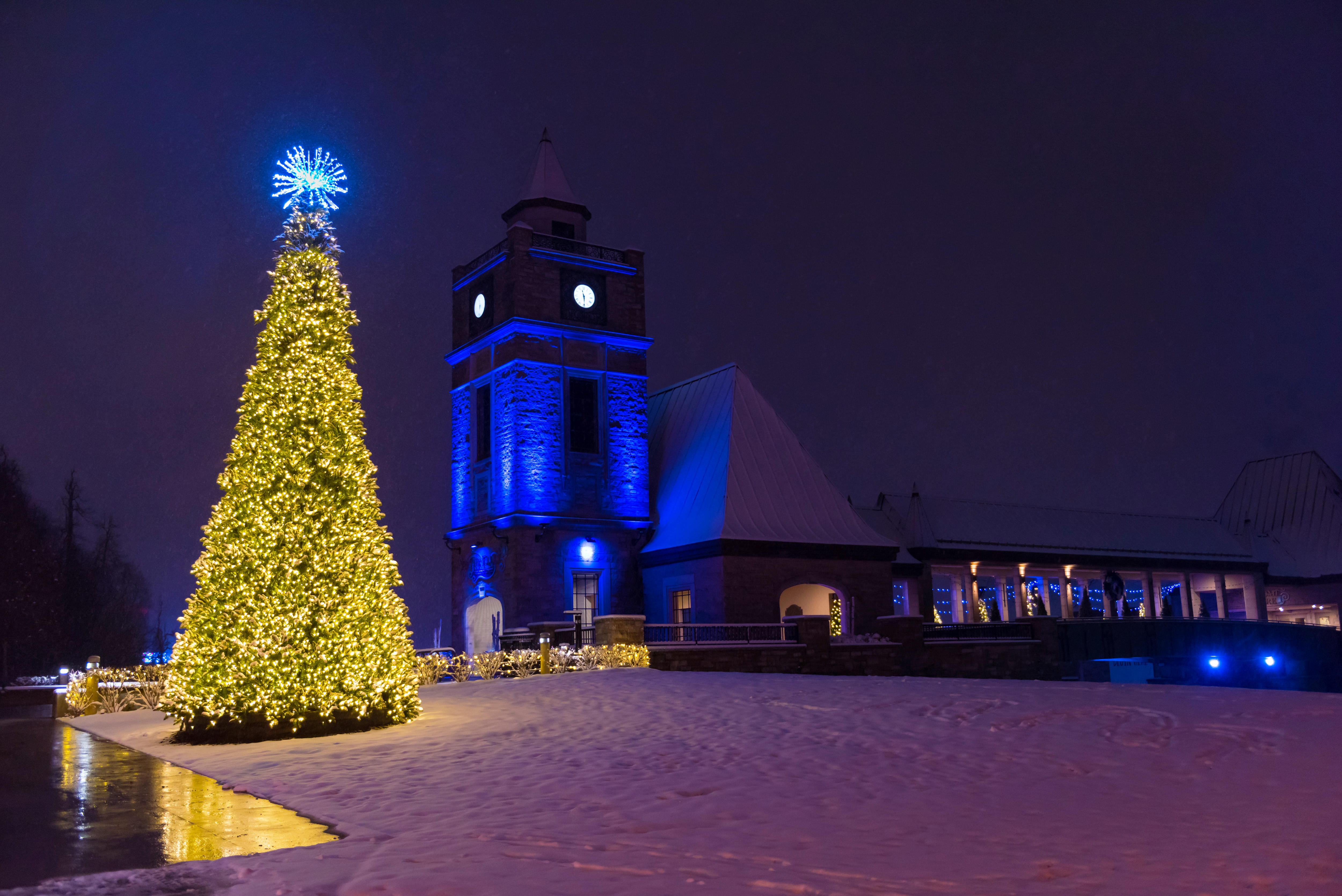A lady observing the decorations at Table Rock Centre