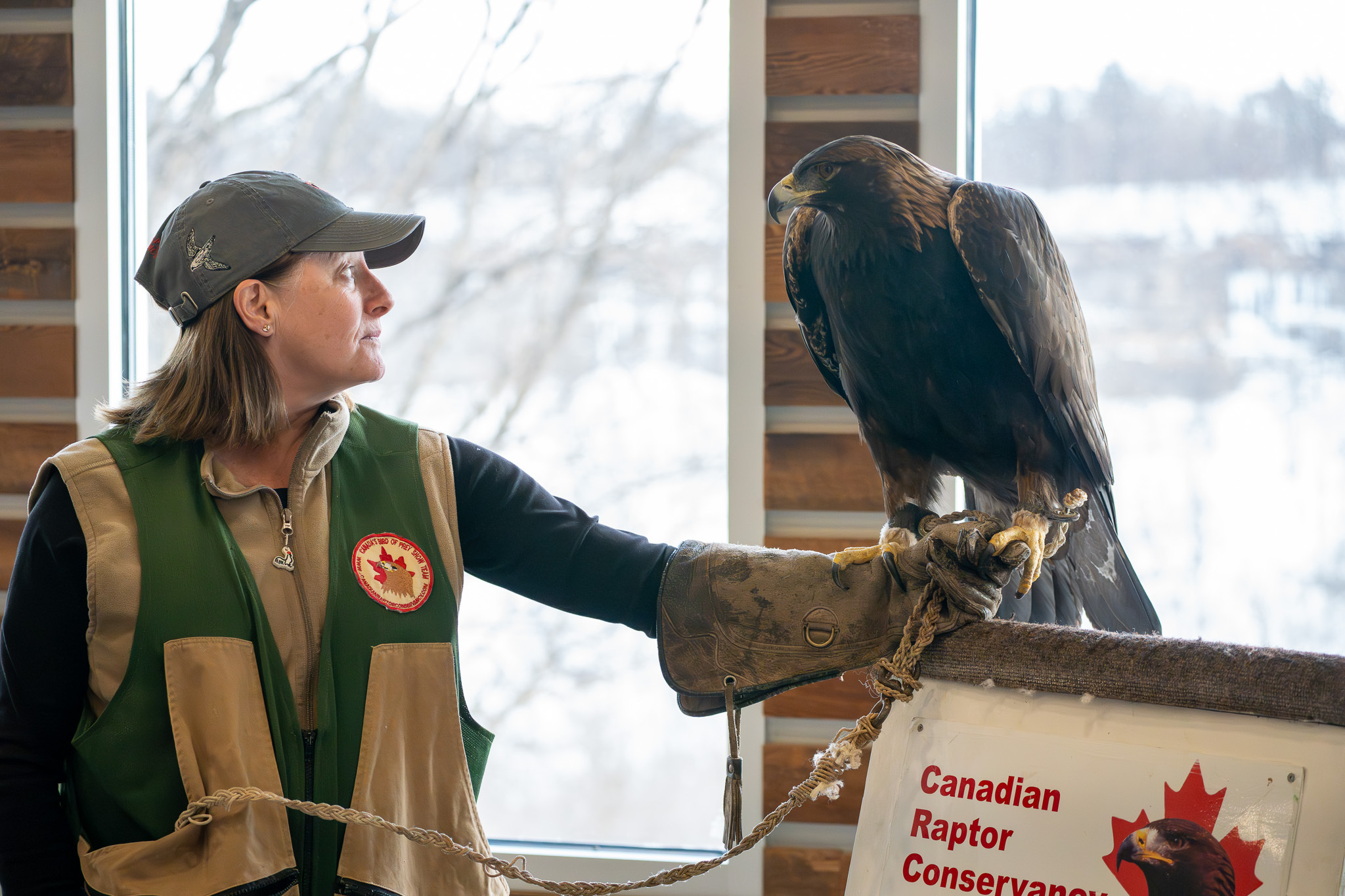 A couple hiking through the Niagara Glen