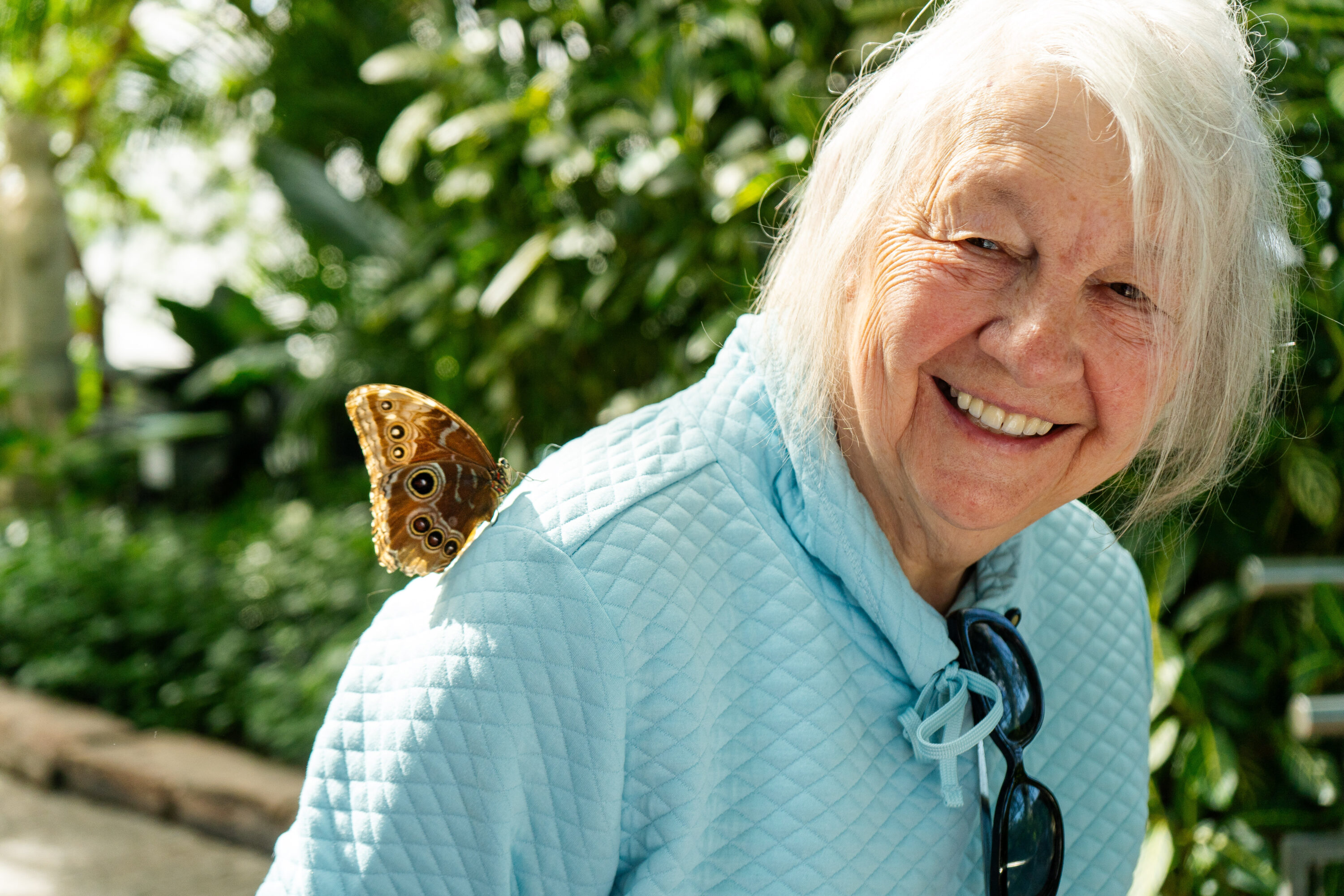 Niagara Parks Celebrates Seniors with Half-Price Admission