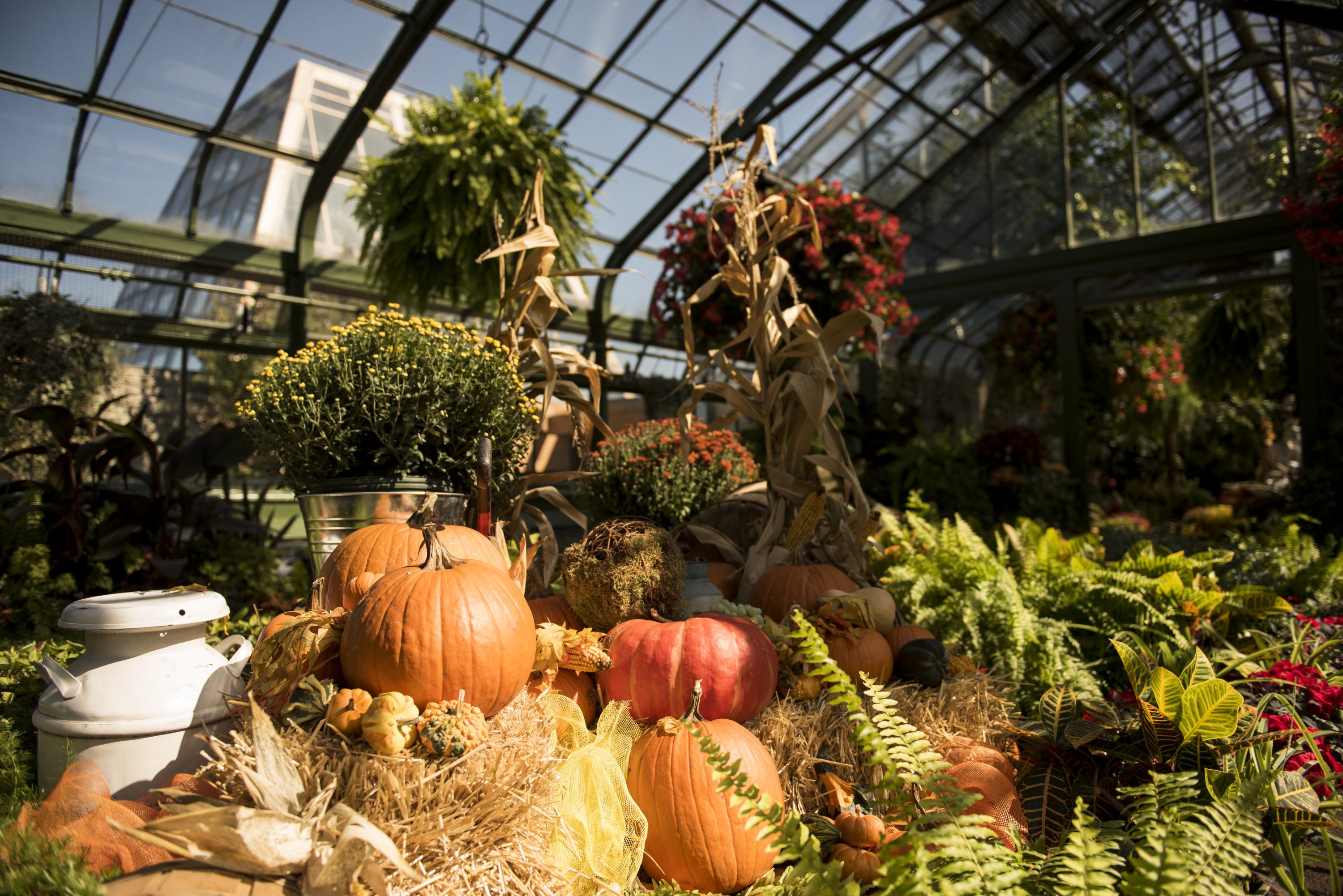 System Fall Show Annual Fall Show at the Floral Showhouse