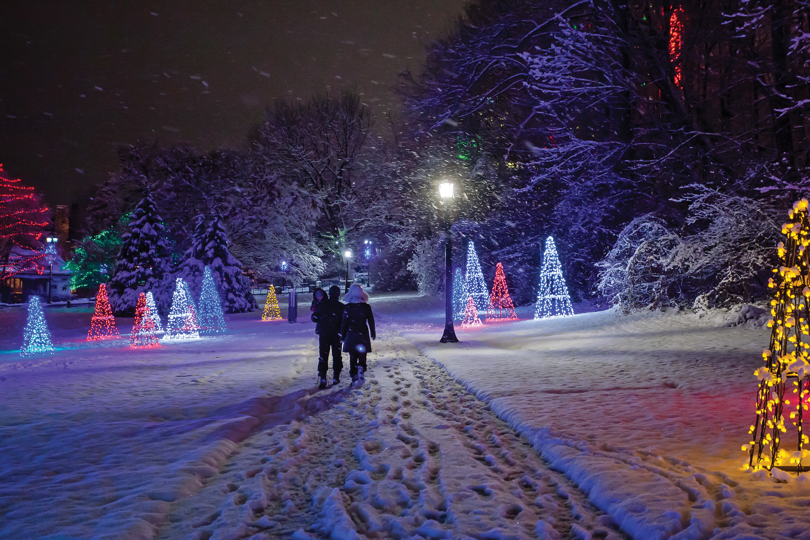 The Winter Festival of Lights is Back with More Magic Than Ever