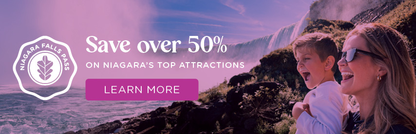 Niagara Falls in background of Journey Behind the Falls