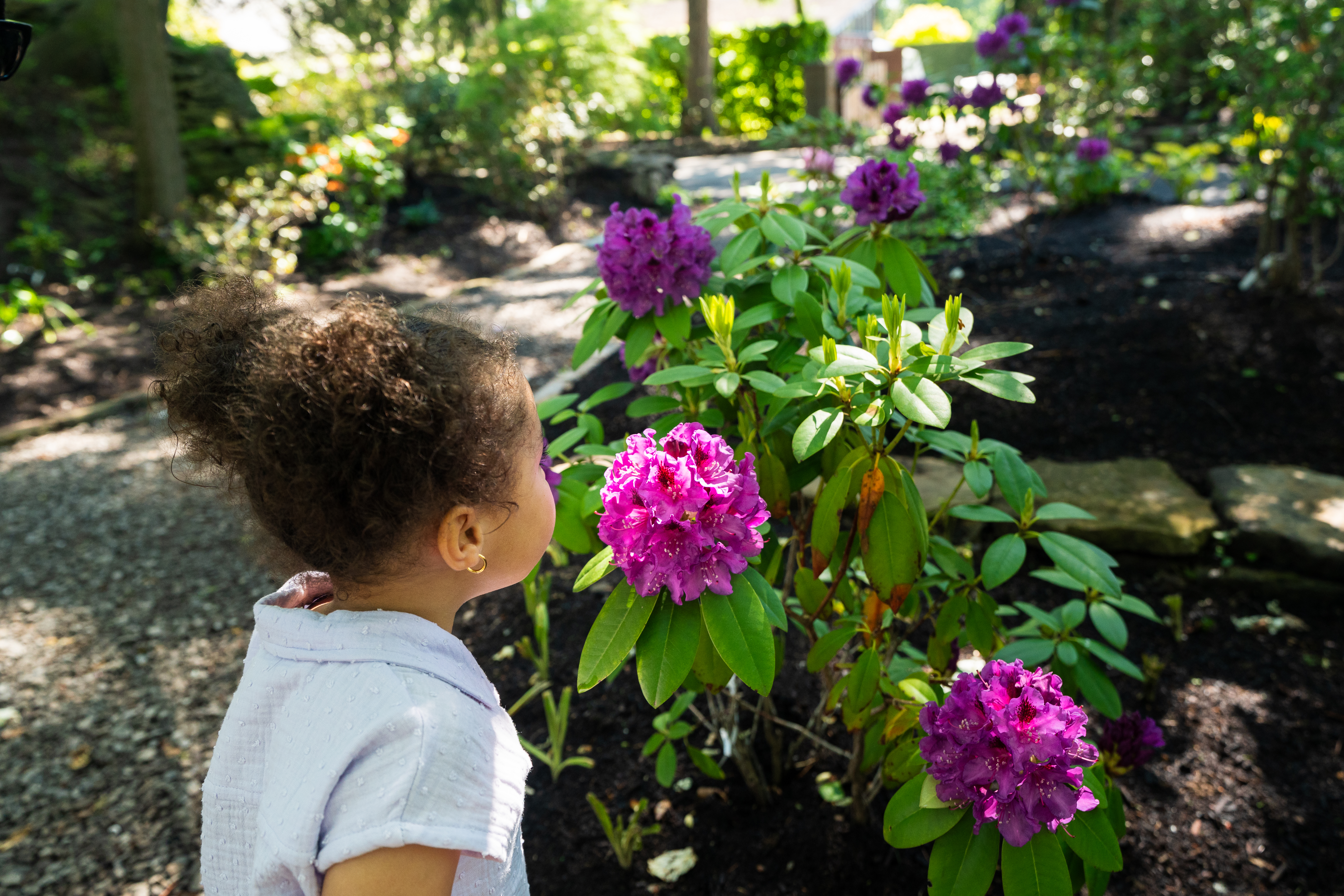 Communities in Bloom to Judge Niagara Parks Botanical Gardens for National Symposium