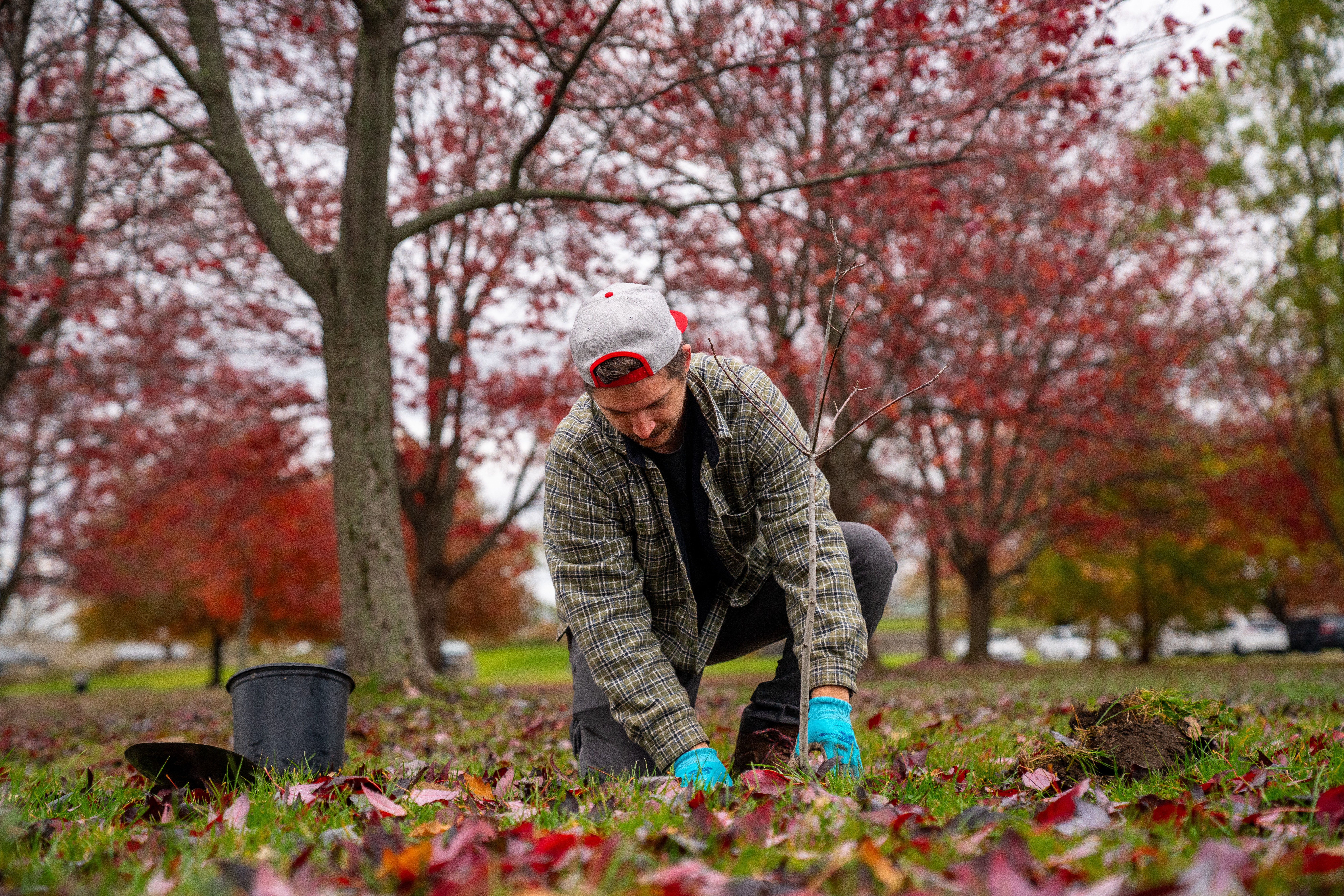 Niagara Parks Invites Public to Join in Community Tree Planting Day at Legends on the Niagara